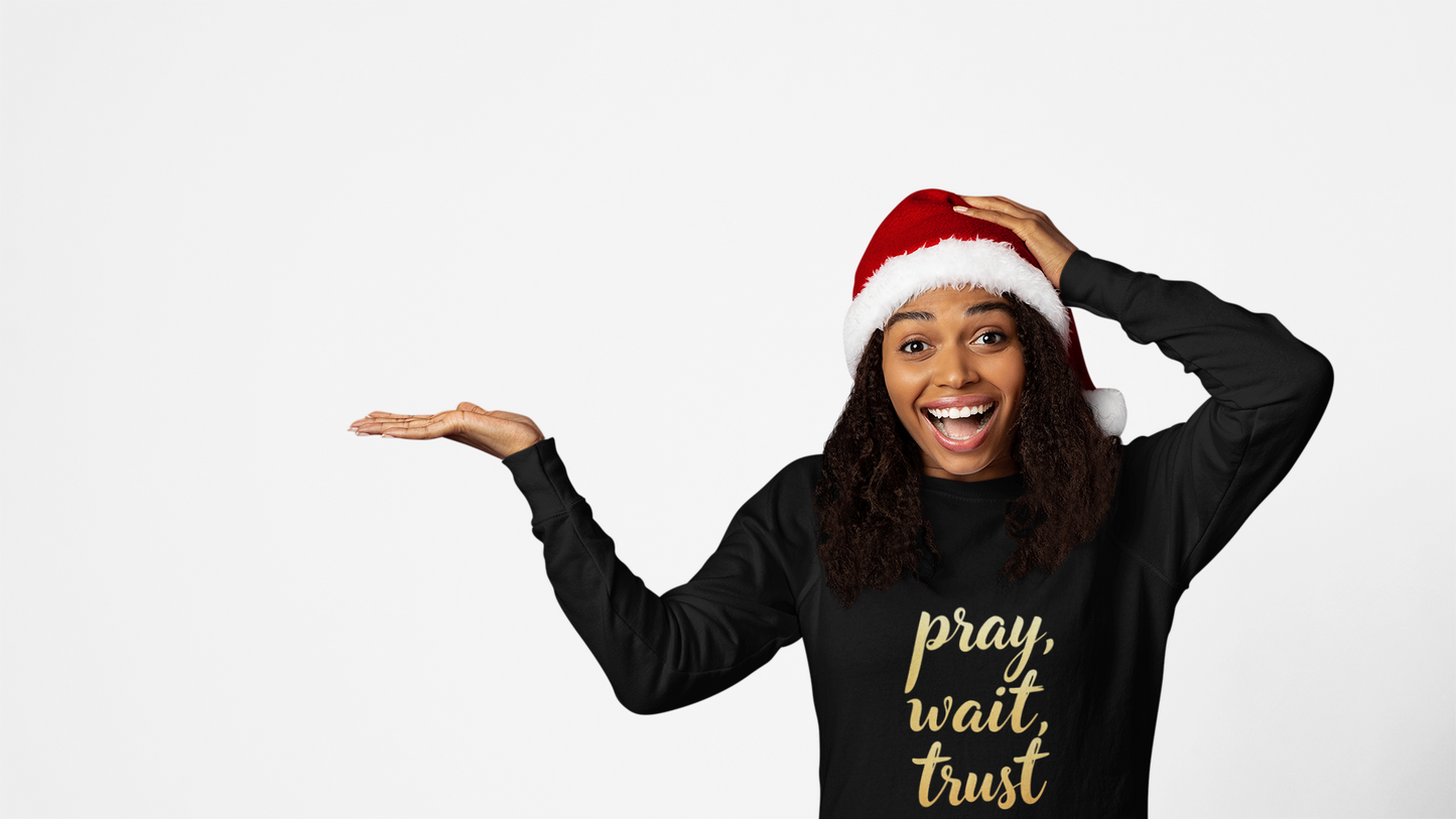 Inspirational Crewneck Sweatshirt - "Pray, Wait, Trust"